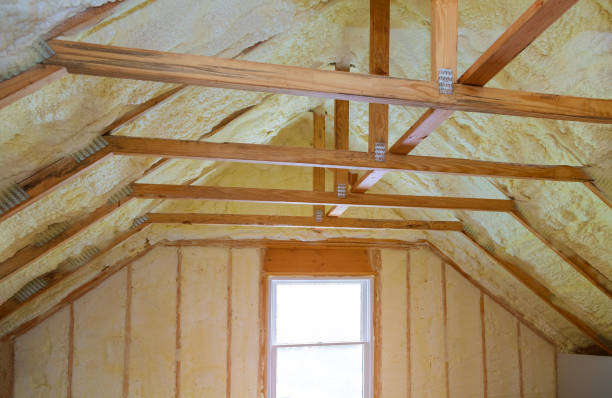 Best Insulation Maintenance and Repair in Blackfoot, ID